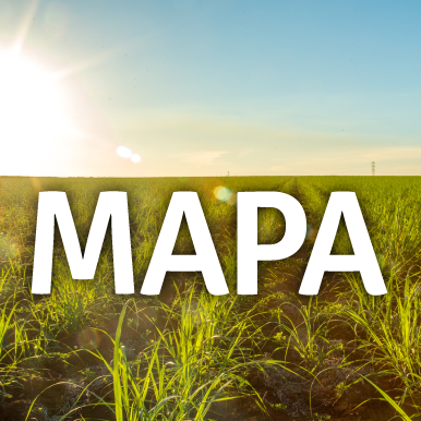 67703554_2967625243279269_5256794182210551808_n